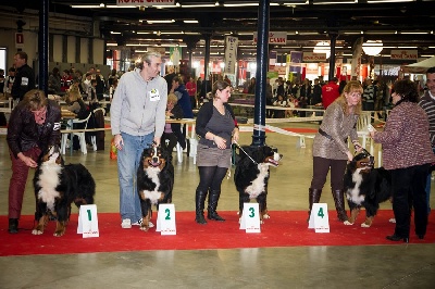 Du bois de cissard - résultats PARIS DOG SHOW 2013