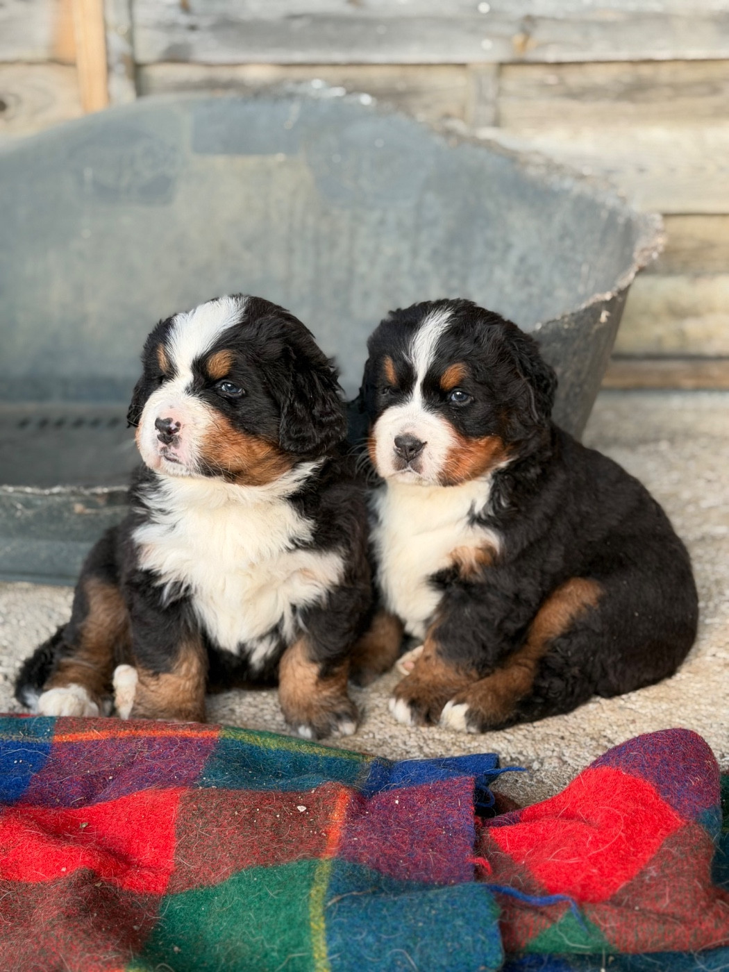 Des bébés sont nés le 7 janvier 2026