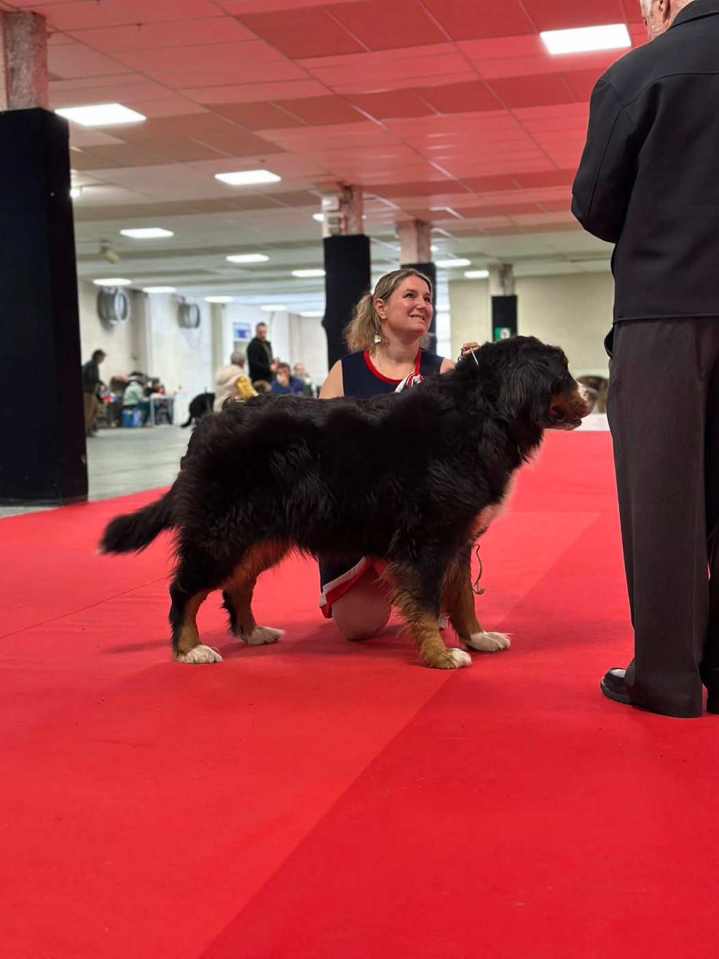 Résultats cacs et CACIB Bourges 2026
