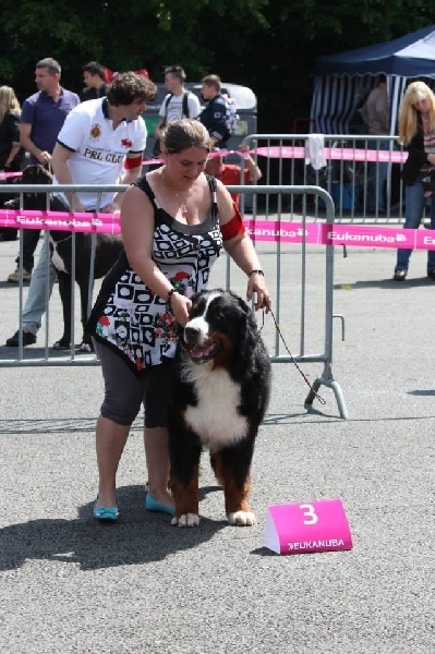 Championnat de France 2014